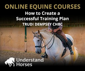 UH - How To Create A Successful Training Plan (Cheshire Horse)
